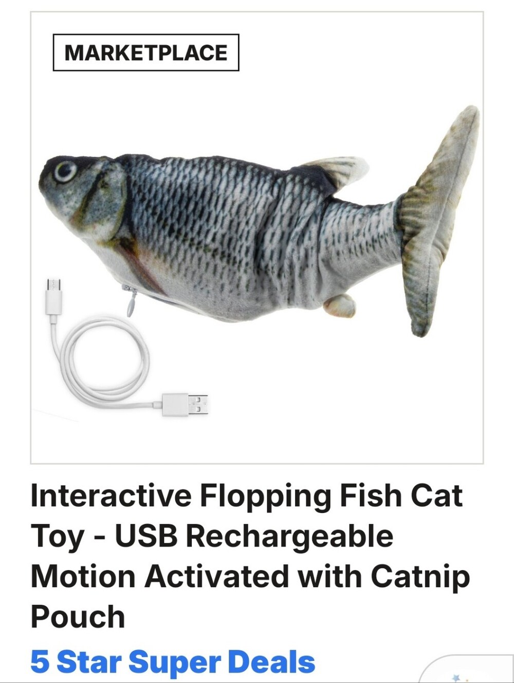 Cat or Dog jumping fish